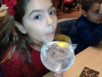 IMG_20151206_172215930