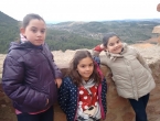IMG_20160228_121217212