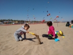 IMG_20160402_145323261