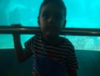 IMG_20161023_123713002