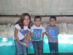 IMG_20161023_124832836