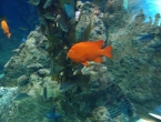 IMG_20161023_150238323