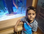 IMG_20161023_151340980