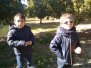 20170115 Llutxent