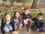 IMG_20170420_122053794