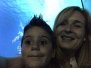 20170621 Durmiendo con tiburones