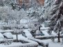 20180107 Vuelta a casa pasada por nieve