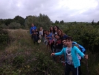 IMG_20180526_183652