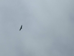 IMG_20180825_110919