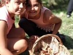 IMG_20180922_141756
