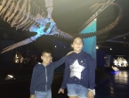 IMG_20181013_104736