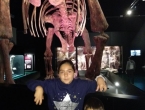 IMG_20181013_111147