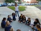 IMG_20181111_163452