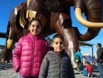IMG_20181222_124813