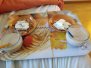 20190407 Desayuno en la cama