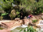 IMG_20190424_133707