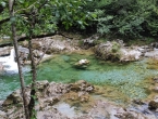 IMG_20210802_162844
