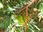 IMG_20210809_164338