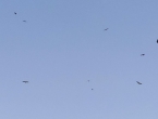 IMG_20210814_130429