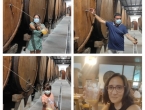 IMG_20210827_152052-COLLAGE