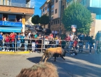 IMG_20230830_095751
